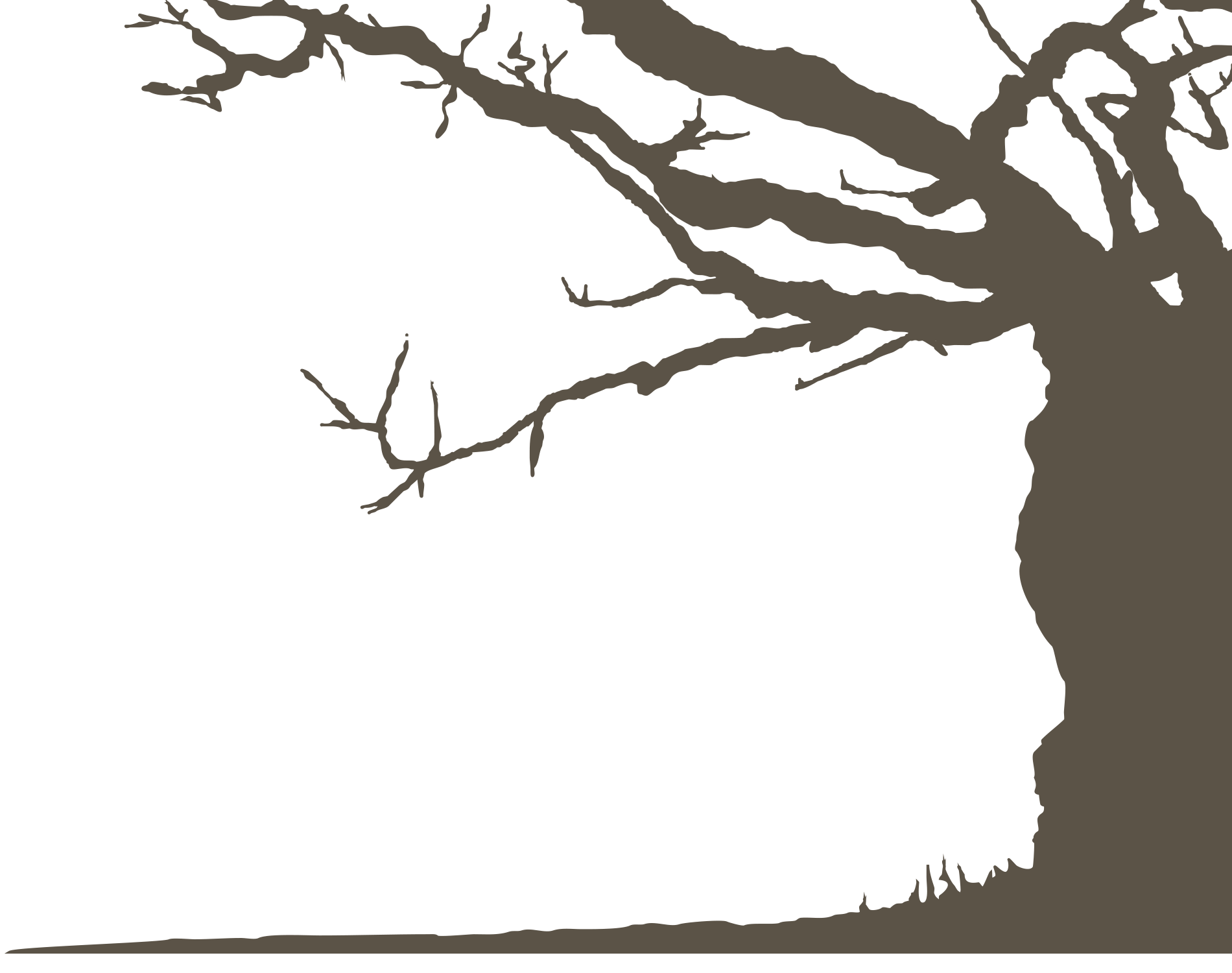 tree